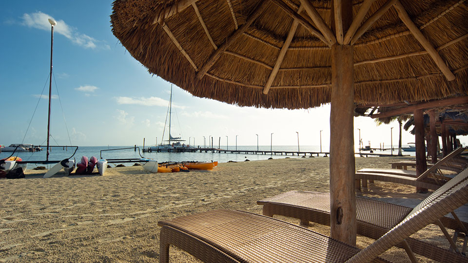 Image Alternative text