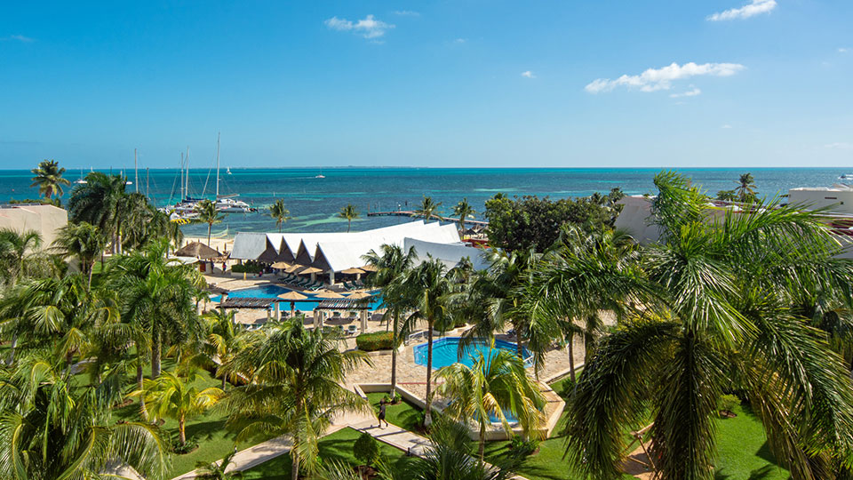 Image Alternative text